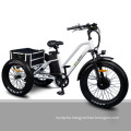 Fat Tyre Electric Tricycle